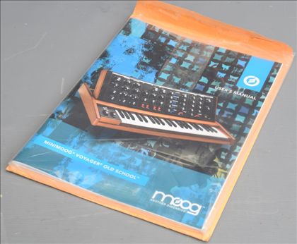 Moog-Voyager